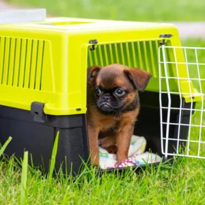 Transportín para perros